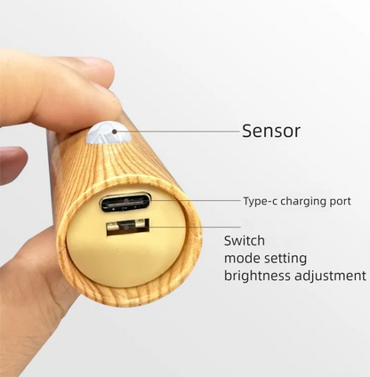 LED Night Light USB Charging Intelligent Human Induction For Bedside Cabinet Home Wardrobe Lighting Motion Sensor Light Led Lamp TGP-005